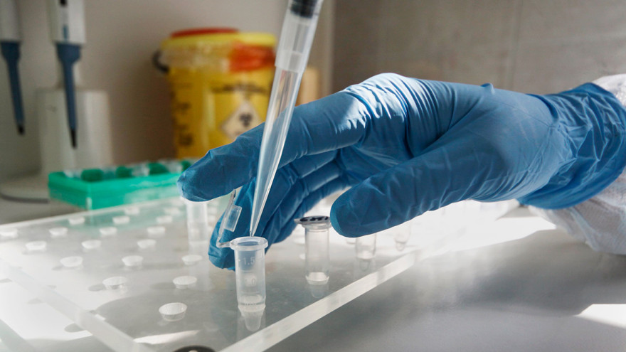 Ямал стал лидером по охвату населения тестированием на коронавирус