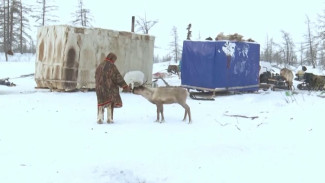 Реестр малочисленных народов Севера: с какими проблемами столкнулись в Красноярском крае