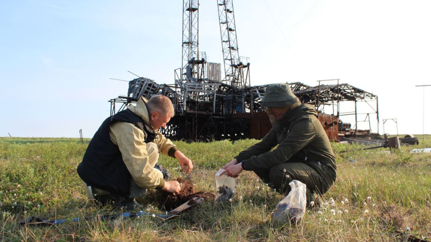 Ямальские учёные помогут усовершенствовать систему по восстановлению нарушенных земель