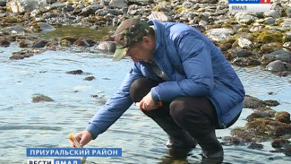 «Ямальский Байкал» исследует наука. О комплексном изучении экосистемы озера Большое Щучье