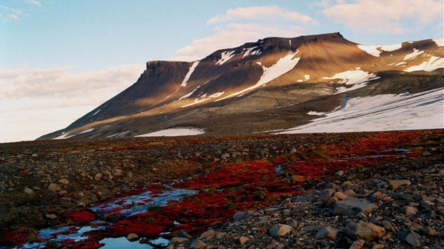 «Дальневосточный гектар» могут распространить на Ямал и другие арктические регионы