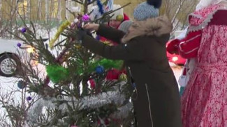 Новогоднее настроение с доставкой: активисты Тазовского поддержали окружную акцию