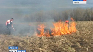 Самый явный признак лета. Первые сельские пожары в Шурышкарском районе