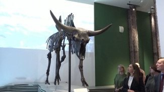 Масштабная выставка «Увертюра. Врата Сибири» открылась в музее имени Словцова