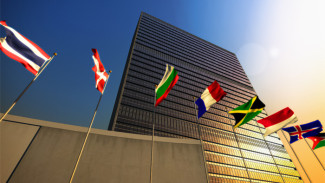 Лучшие ямальские проекты представят в штаб-квартире ООН