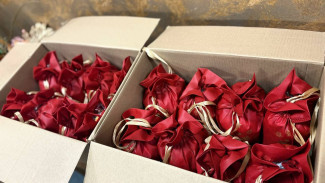 4600 новогодних подарков от Ямала доставлены в Волновахский округ