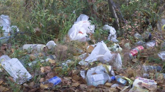 Ямалец нашёл свалку с сотнями бутылок в пригороде Салехарда