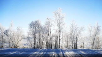 «Осень еще удивит»: ямальцев ждет теплый ноябрь
