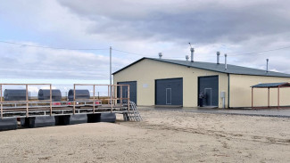 На Ямале открыли второй рыбоводный завод по воспроизводству сиговых рыб