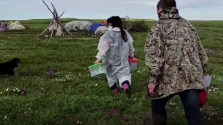 В Приуральском округе начали вакцинацию тундровиков против сибирской язвы
