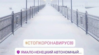 Правительство Ямала ответило на самые популярные вопросы о самоизоляции в «Инстаграм»