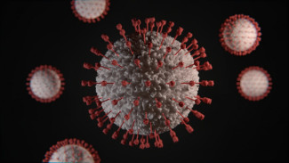 На Ямале подтверждено 22 новых случая коронавируса. 16 апреля в регионе 95 заболевших