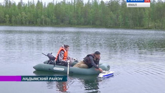 Учёные во время экспедиции в Надымском районе обнаружили три озера неизвестного происхождения