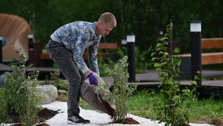 В парке Нового Уренгоя появился рокарий