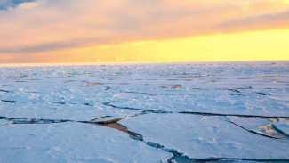 Ученые: глобальное потепление ведет к распространению инфекционных заболеваний в Арктике