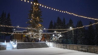 Национальный колорит ямальской ели покоряет Россию