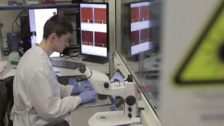 Приморские ученые научились сортировать раковые клетки