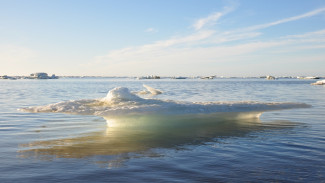 На полуострове Ямал создадут стационар для изучения природных процессов в Карском море 