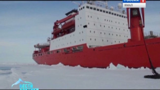 Минприроды в 2015 году подаст заявку в ООН на расширение границ арктического шельфа