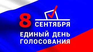 На Ямале активно готовятся к единому дню голосования