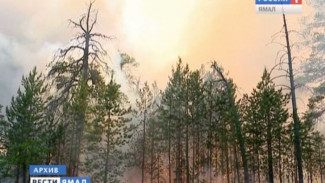На Ямале случился первый лесной пожар