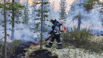 На Ямале снижается число лесных пожаров