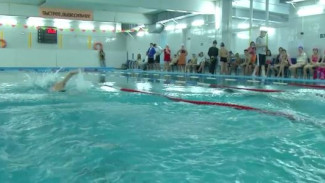 В Надымском «Дельфине» прошли состязания по плаванию среди детей
