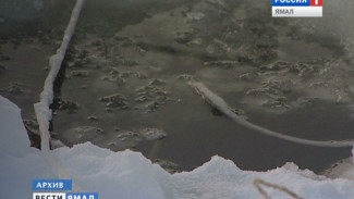 На Ямале мужчина погиб, провалившись на снегоходе в полынью