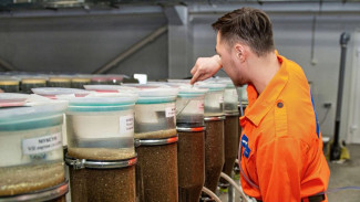 План выполнен: Собский рыбоводный завод выпустил более 11 миллионов мальков в реки округа