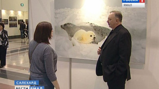 «Волшебный мир Арктики»: главный фотопроект Сергея Анисимова на выставке в Салехарде