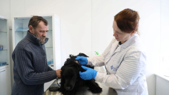 В селе Горки в новом ветеринарном пункте будут лечить коров и лошадей