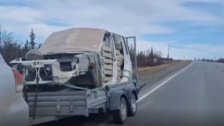  Двое ямальцев, двигаясь по надымской трассе, собрали на обочине полный прицеп мусора 
