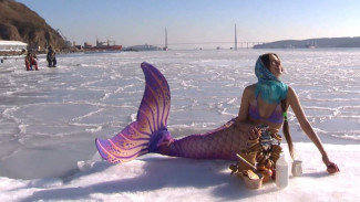 Русалки - не миф: во Владивостоке появилась морская дива
