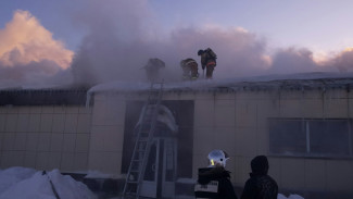 29 пожаров и 8 поисково-спасательных работ: непростые праздничные дни ямальских пожарных и спасателей