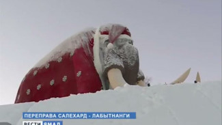 Салехардский мамонт вновь «переоделся» в костюм Деда Мороза