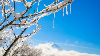 Погода в Салехарде: последний день календарной зимы будет аномально теплым
