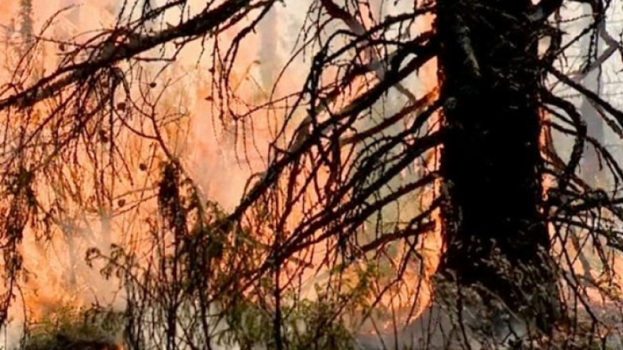 В Шурышкарском районе «Ямалспас» ликвидировал 7 природных пожаров