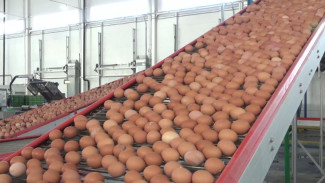 Тюменская птицефабрика обеспечивает яйцами Ямал