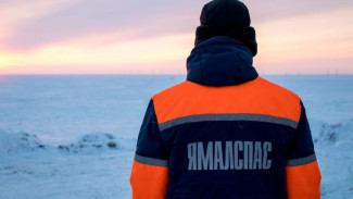 На Ямале спасатели вызволили из беды семью тундровиков