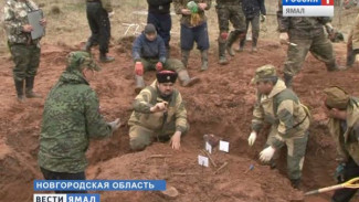 В этому году на «Вахте памяти» наши ребята работают в Новгородской области. О первых находках ямальских бойцов