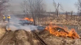 В Приморье общая площадь природных пожаров превысила 2 тыс. гектаров