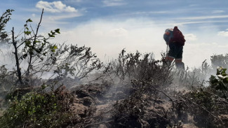 Спасатели предотвратили развитие природного пожара в Ямальском районе