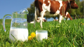 Молоко раздора. Действительно ли молочная продукция в школах и садиках некачественная?