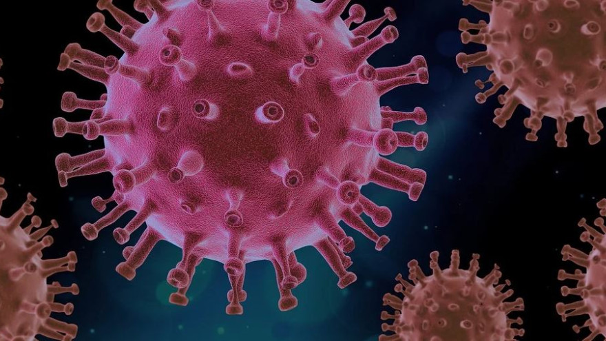 На Ямале подтвердили 65 новых случаев коронавируса, 1 человек скончался