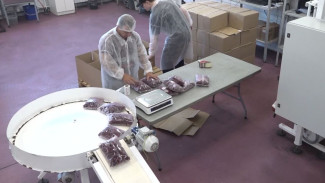 Упаковки ягод готовят к отправке на Ямал: на предприятии по заморозке наступила жаркая пора