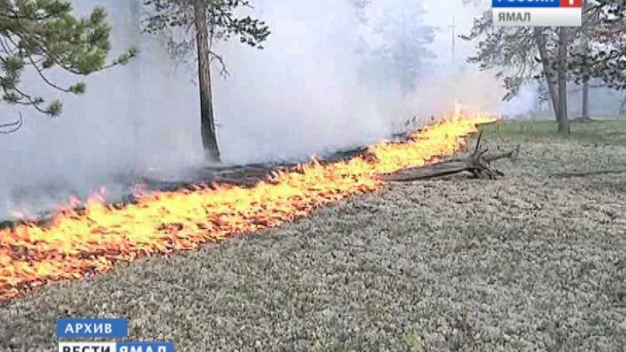 Сейчас на Ямале действуют 27 природных пожаров