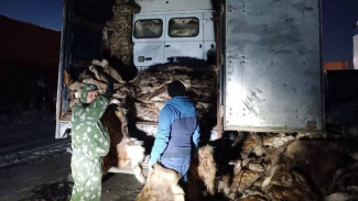 Гуманитарный десант с Ямала: груз для бойцов СВО отправили из Салехарда