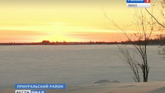 Собты-Юганский заказник: прошлое и настоящее «поперечной реки»