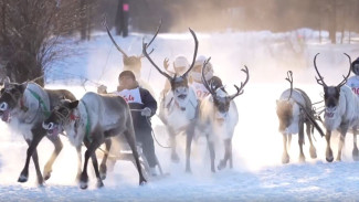 В Нерюнгринском районе Якутии приняли эстафету Дня оленевода