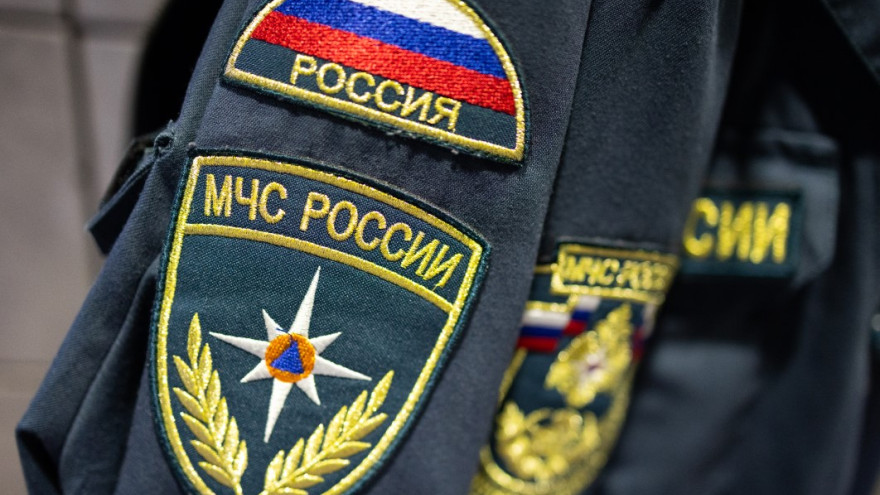 В Тарко-Сале направят спецподразделение МЧС для сдерживания лесного огня